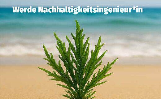 Interessiert?