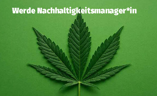 Interessiert?