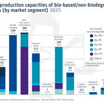 Global production capacities of bio-based/non-biodegradable plastics by market segment 2025, Quelle: IfBB